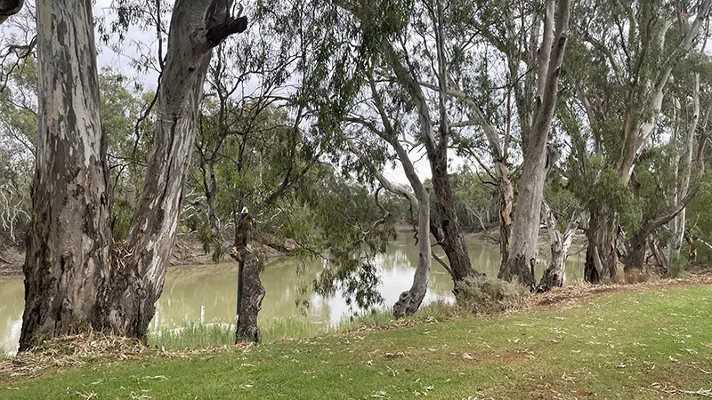 DeckHardware Road Trip